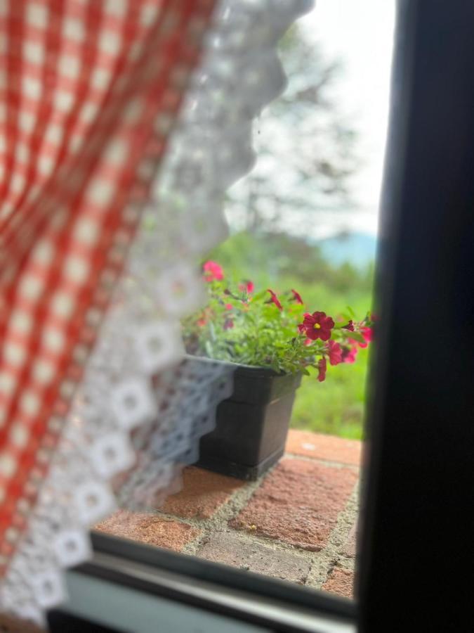 La Cabana De La Nina Beceña エクステリア 写真